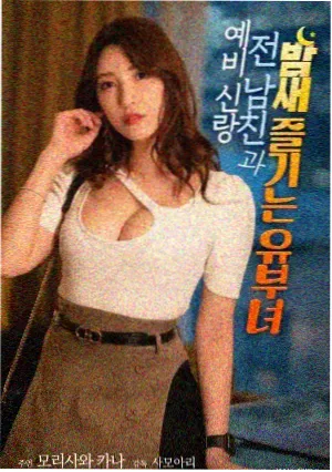 雾中列车电影封面
